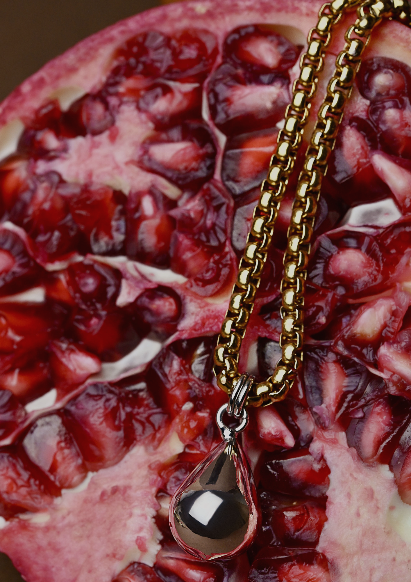 ILGAS KAKLO PAPUOŠALAS SU SIDABRO SPALVOS PAKABUKU ,,Luji''