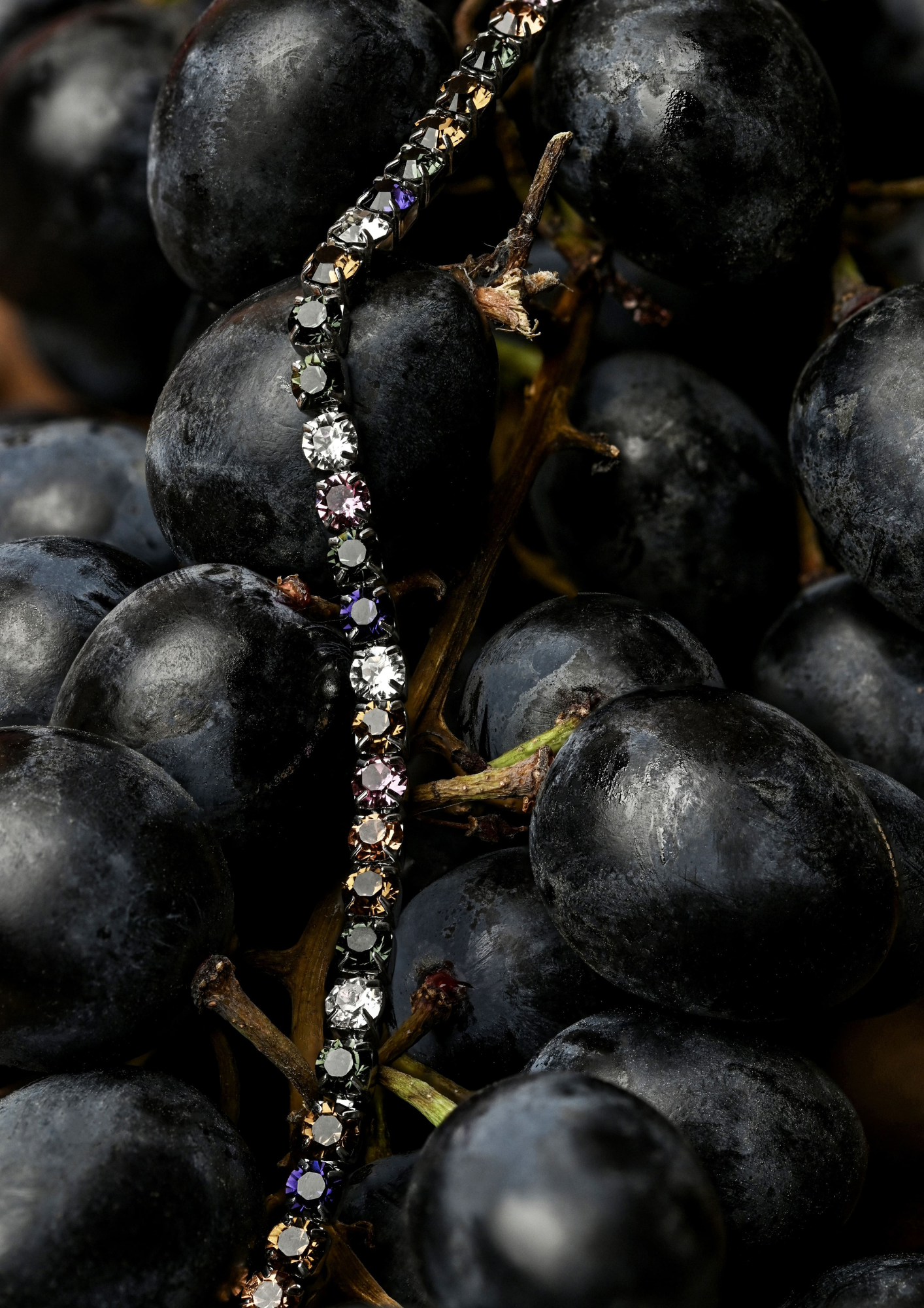 SPALVOTA SIAURA TENNIS APYRANKĖ